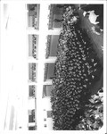 1963: Commencement by Brooklyn Law School