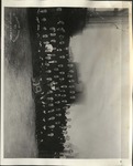 Class of 1909 by Brooklyn Law School